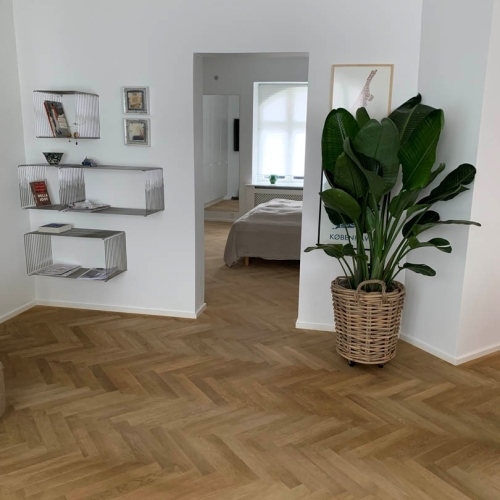 Sildeben og totalrenovering af bolig på Sydfyn