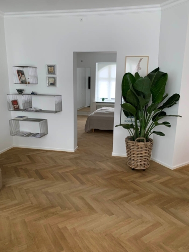 Sildeben og totalrenovering af bolig på Sydfyn